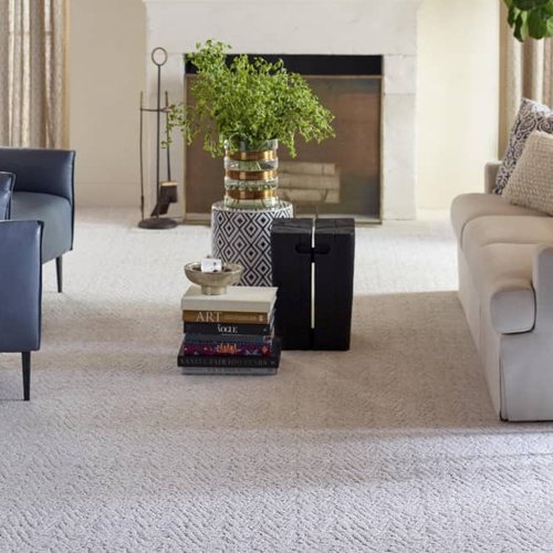 Living Room Pattern Carpet - Fairbanks CarpetsPlus in Fairbanks, AK