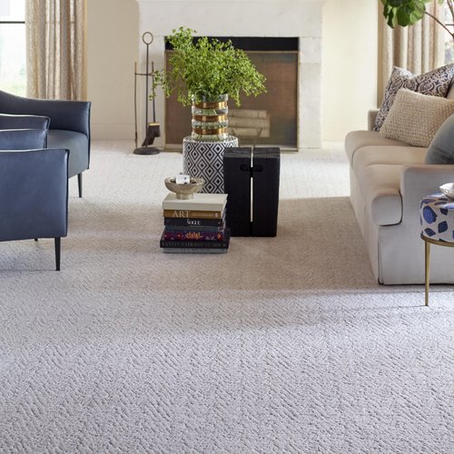 Living Room Pattern Carpet - Fairbanks CarpetsPlus in Fairbanks, AK