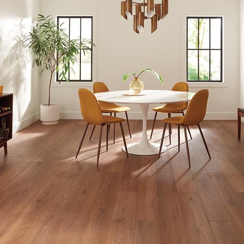 Dining Room Luxury Vinyl Plank LVP -  Fairbanks CarpetsPlus in Fairbanks, AK